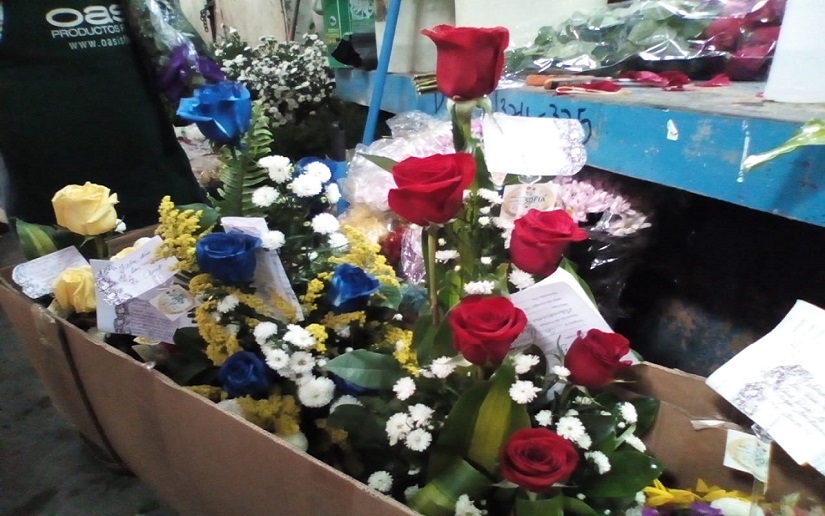 REGALOS2